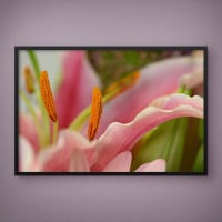 Quadro Decorativo Flores Amarelas