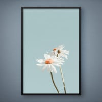 Quadro Decorativo Flores Sob a Neve