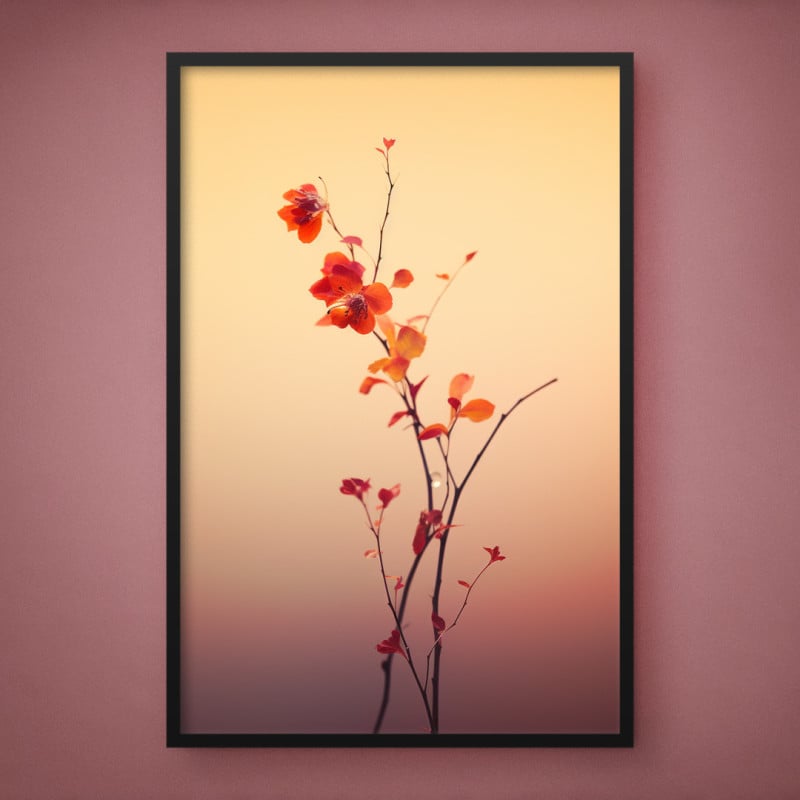 Quadro Decorativo Flores Laranja