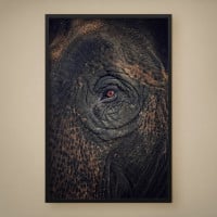 Quadro Decorativo Show do Elefante