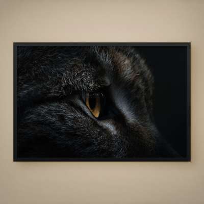 Quadro Decorativo Olhar Felino