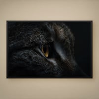 Quadro Decorativo Batalha Felina