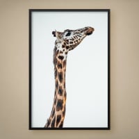 Quadro Decorativo Girafa P&B