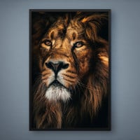 Quadro Decorativo Leoa na Sombra