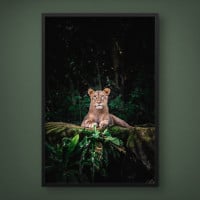 Quadro Decorativo Lobo Alfa