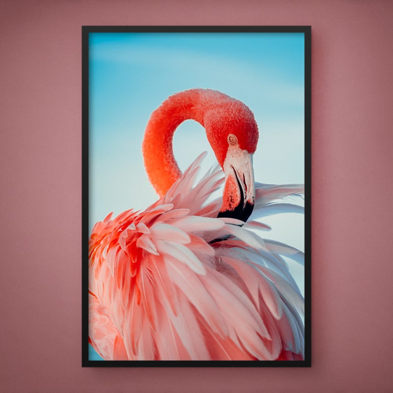 Quadro Decorativo Flamingo e Suas Penas