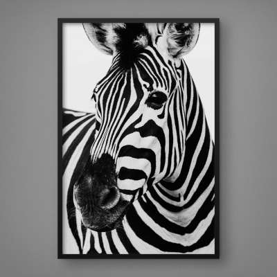 Quadro Decorativo Zebra