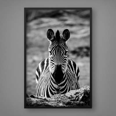 Quadro Decorativo Zebra P&B