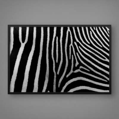 Quadro Decorativo Padrão de Zebra