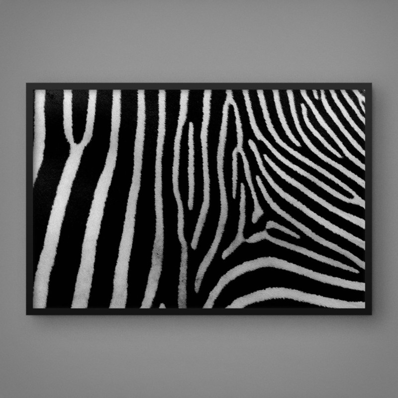 Quadro Decorativo Padrão de Zebra