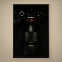 Quadro Decorativo Sony Steadyshot