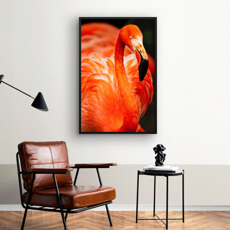 Quadro Decorativo Flamingo-americano