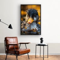 Quadro Decorativo Mergulho no Lago