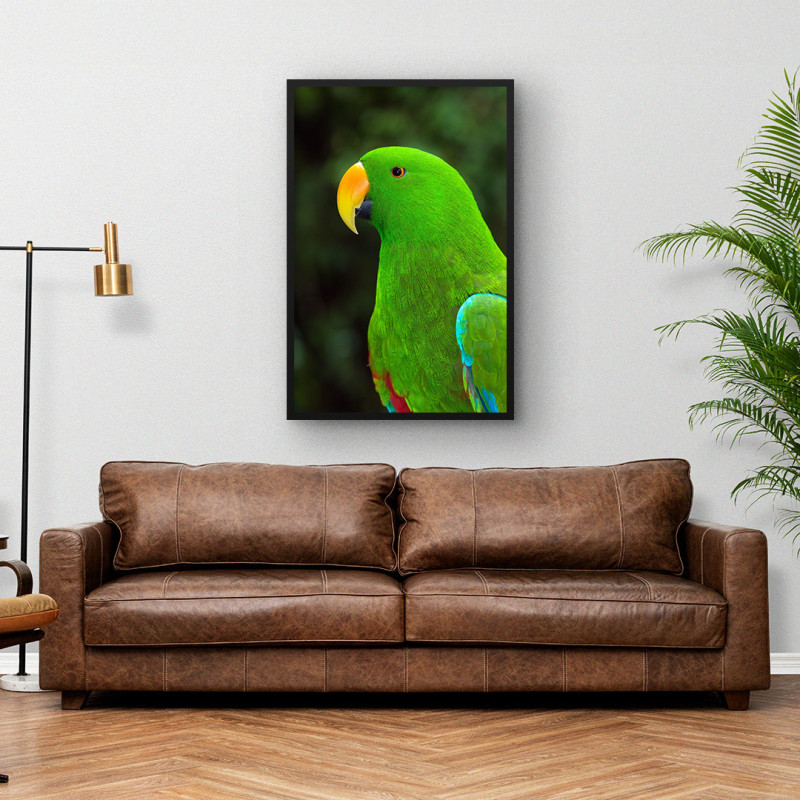 Quadro Decorativo Papagaio de Perfil