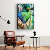 Quadro Decorativo Turaco Verde