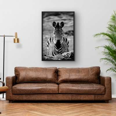 Quadro Decorativo Zebra P&B