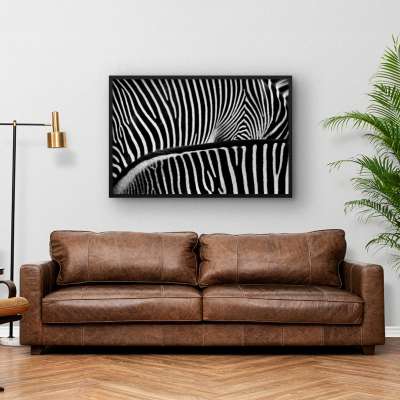 Quadro Decorativo Padrões de Zebras