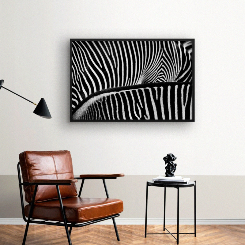 Quadro Decorativo Padrões de Zebras