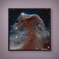 Quadro Decorativo Nebulosa Cabeça de Cavalo