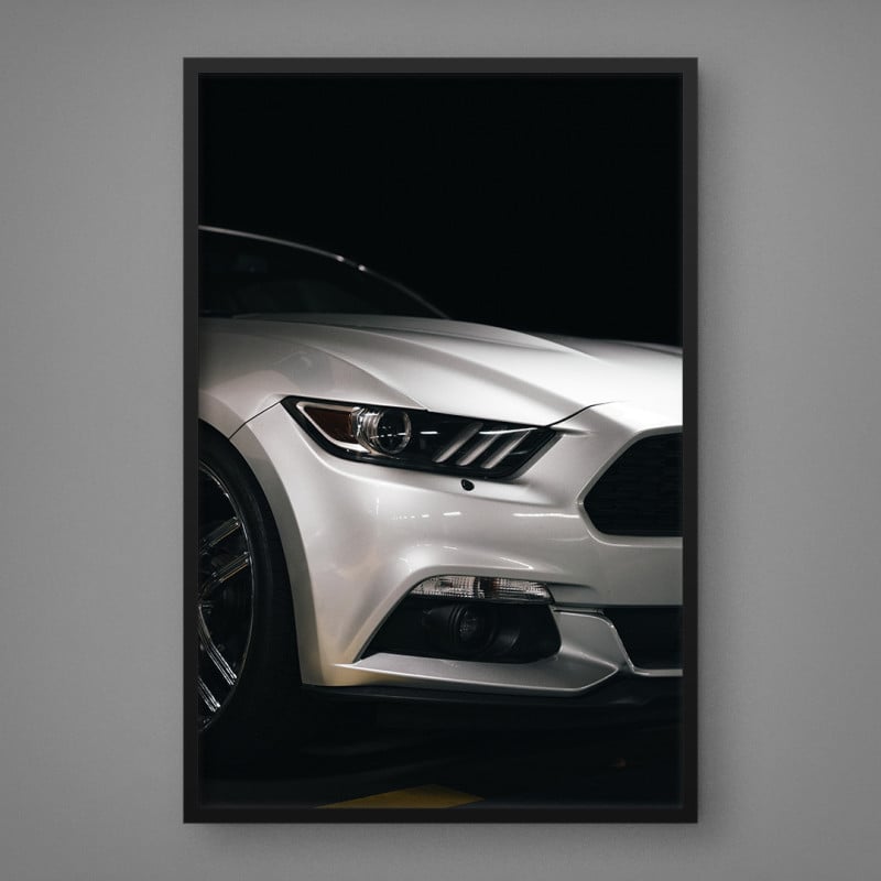 Quadro Decorativo Ford Mustang Rouge