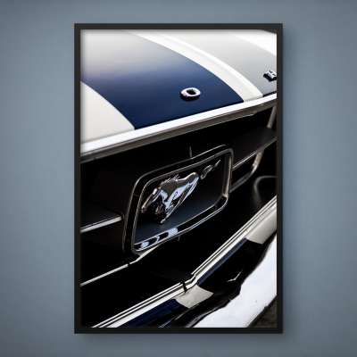 Quadro Decorativo Emblema Ford