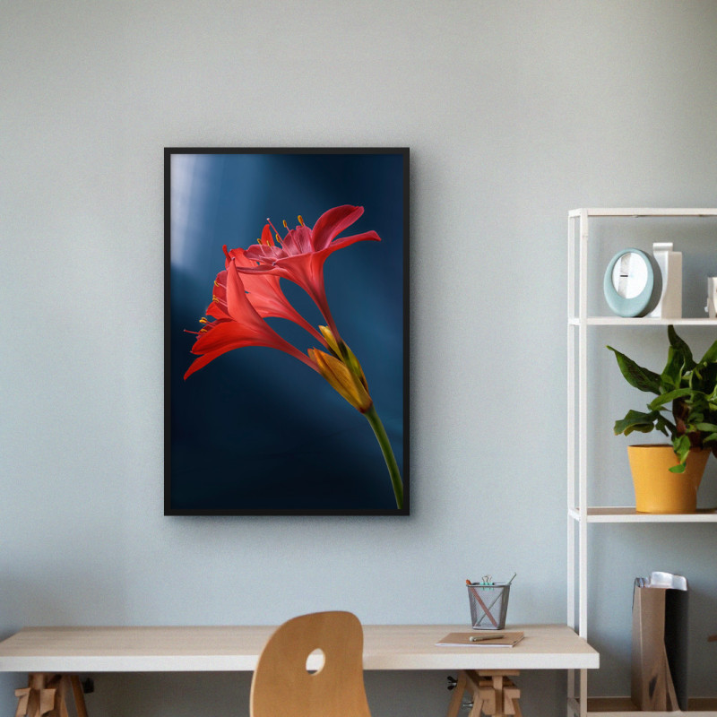 Quadro Decorativo Amaryllis