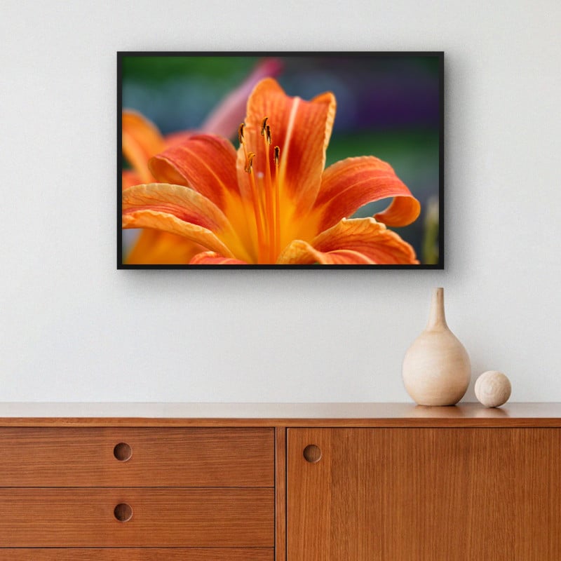 Quadro Decorativo Lírio Laranja