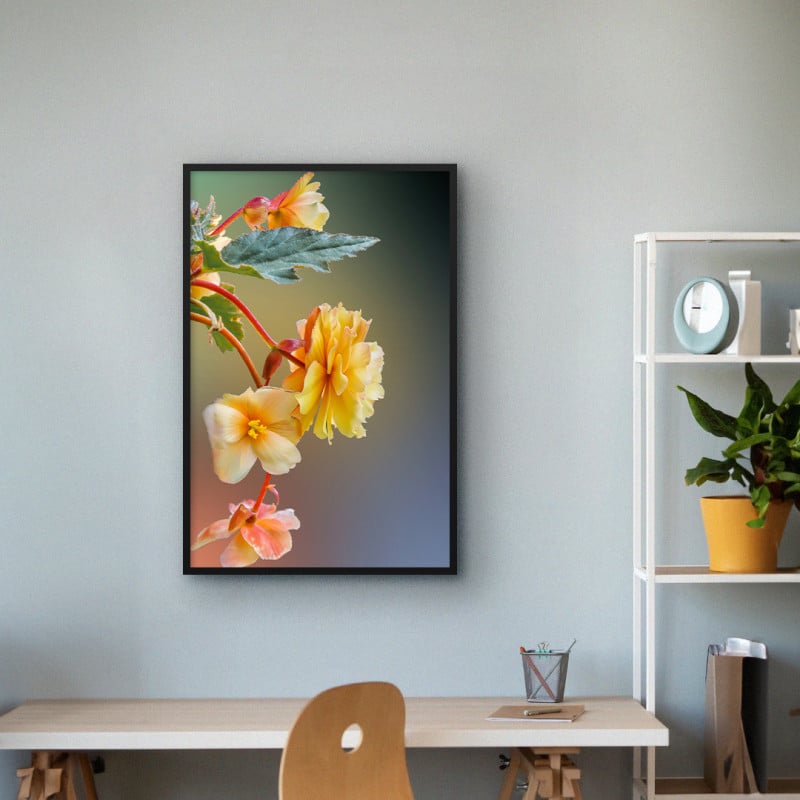 Quadro Decorativo Flores Amarelas