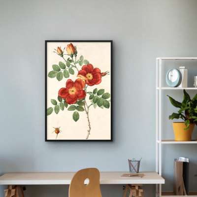 Quadro Decorativo Rosas Francesas