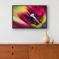 Quadro Decorativo Tulipa em Close