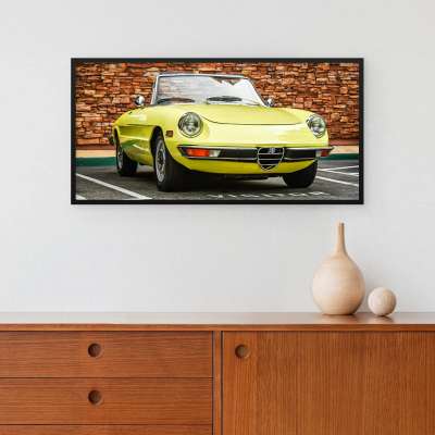 Quadro Decorativo Alfa Romeo Spider